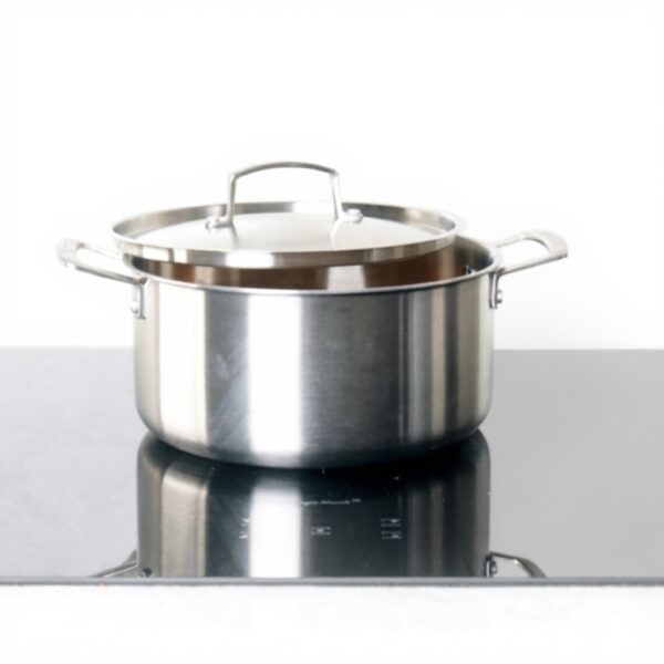 Faitout KAMBERG acier inoxydable 1810 induction 20 cm