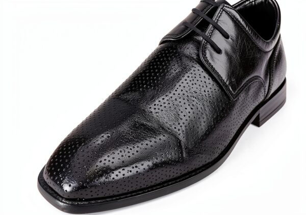 Melvin & Hamilton Homme Alex 1 Plat Oxford-4